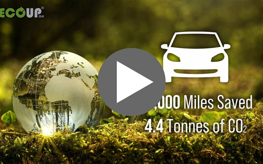 Recoup CPD Programme & CPD’s for Trees